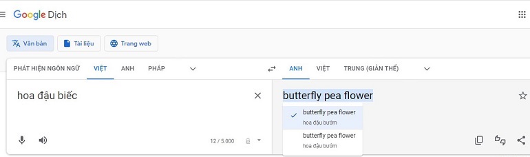 Hoa đậu biếc trong tiếng Anh gọi là “Butterfly pea flower flower”.