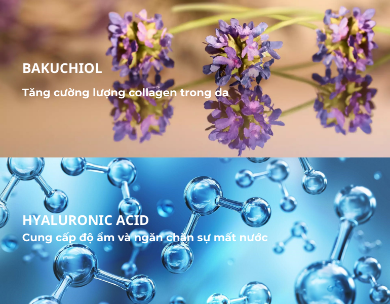 Kết hợp bakuchiol và hyaluronic acid ngăn ngừa và giảm nếp nhăn hiệu quả