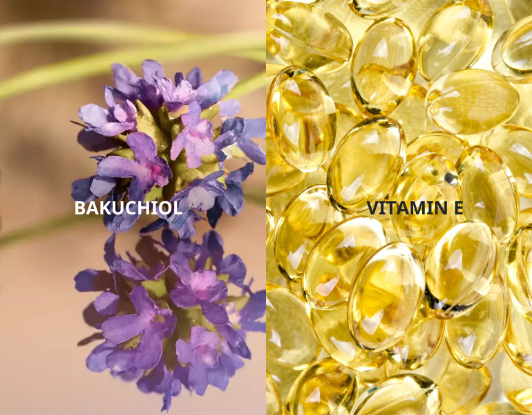 Bakuchiol có khả năng chống oxy hóa mạnh mẽ hơn cả vitamin E