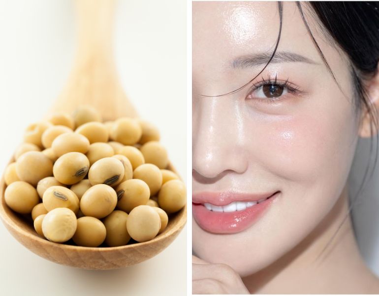 Một trong những công dụng của glycine soja (soybean) germ extract trong mỹ phẩm là giữ ẩm và làm dịu da