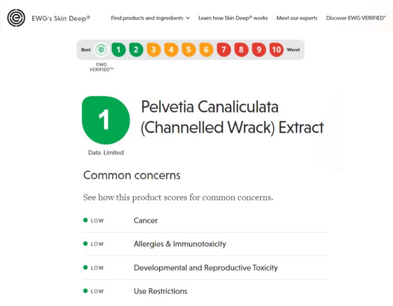 Thành phần pelvetia canaliculata extract an toàn cho người sử dụng theo đánh giá từ EWG