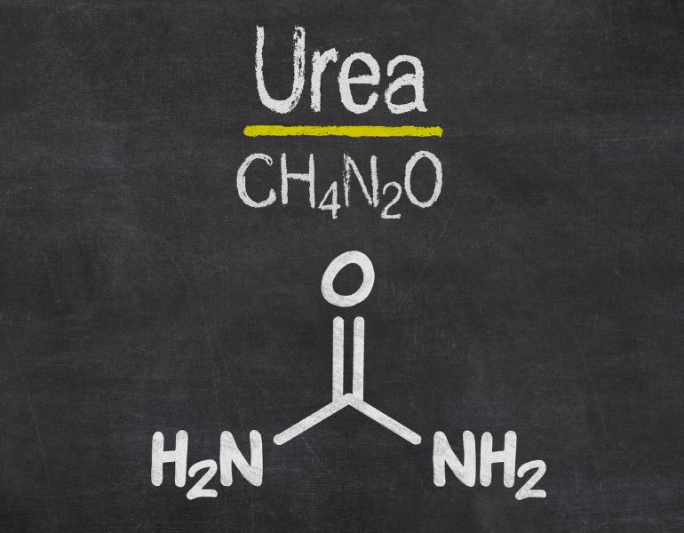 Urea có công thức hóa học là CO(NH2)2