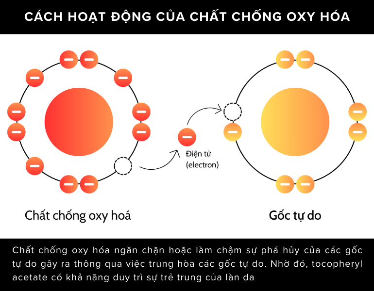 Tocopheryl acetate là một chất chống oxy hóa mạnh mẽ, có vai trò bảo vệ da khỏi các gốc tự do có hại