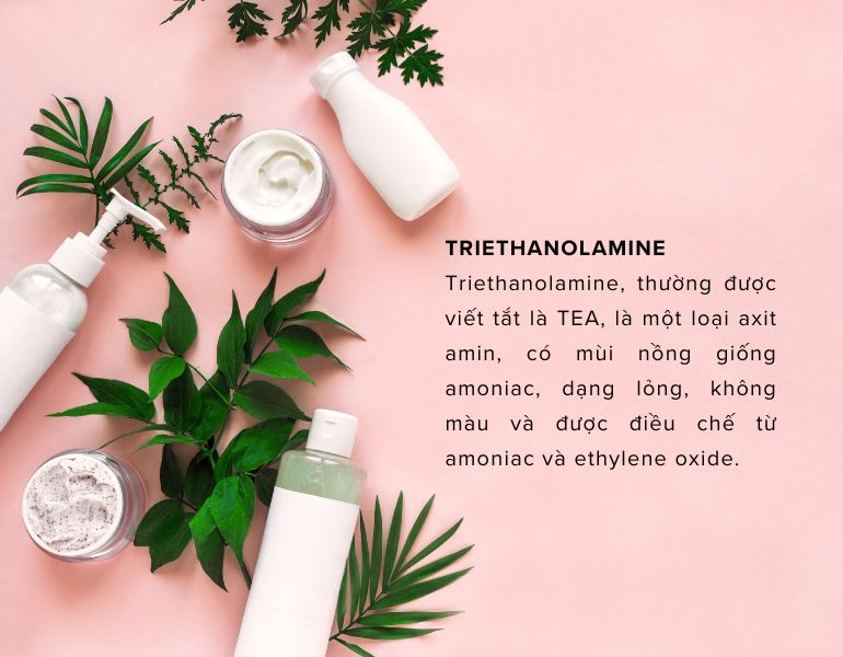 Triethanolamine, thường được viết tắt là TEA, là một loại axit amin, có mùi nồng giống amoniac