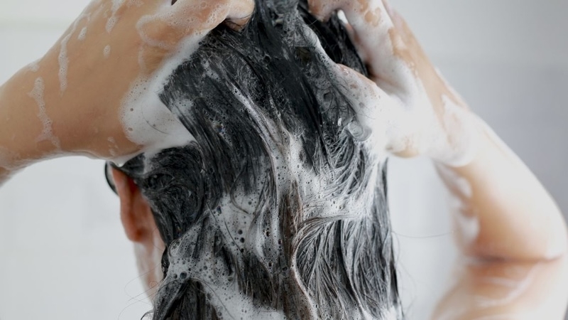 dau goi sach gau