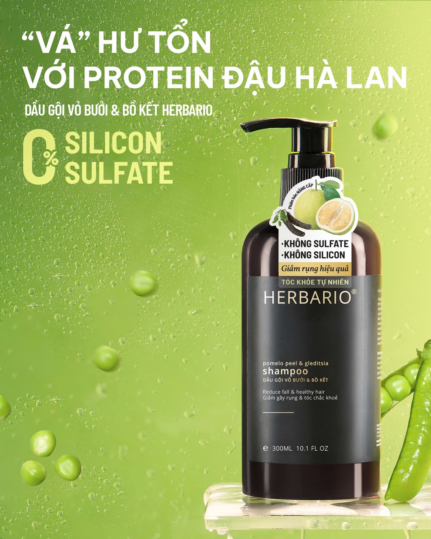 Dầu gội không sulfate khác gì dầu gội thường dau goi khong sulfate khac gi dau goi thuong