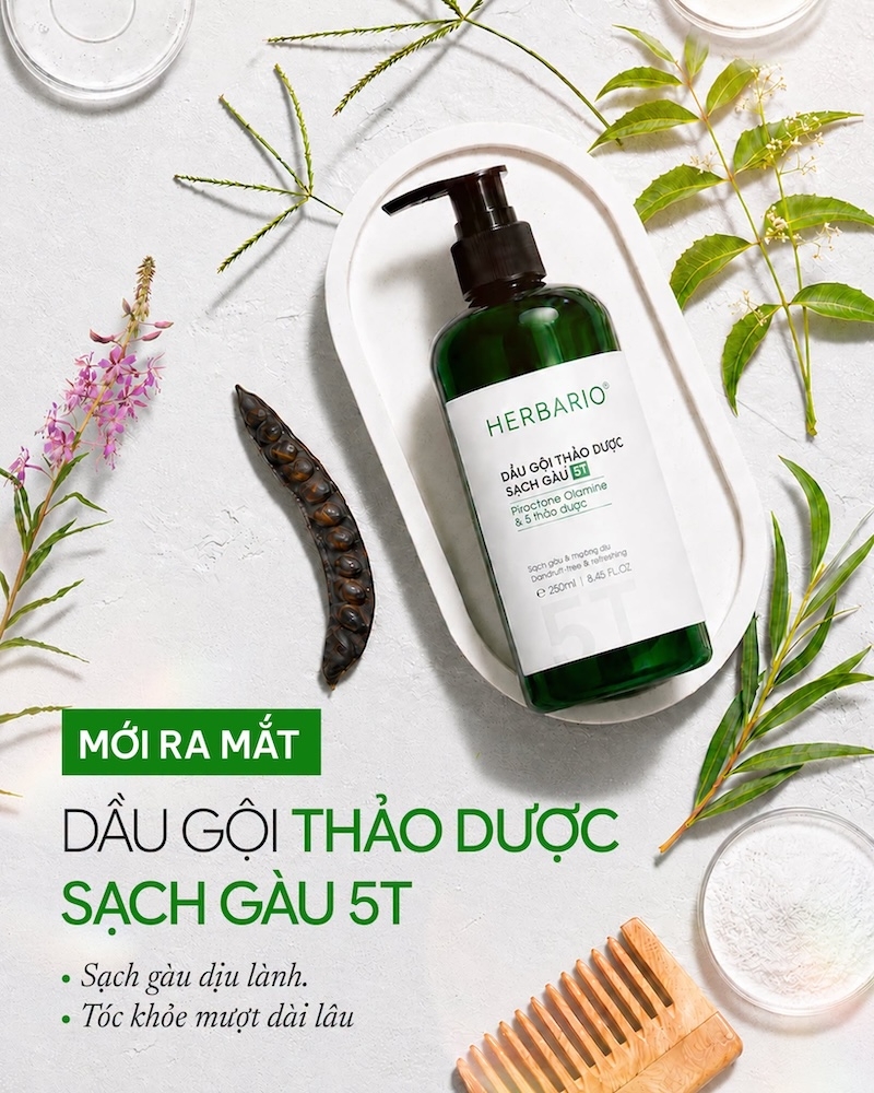 dau goi thao duoc 5t herbario