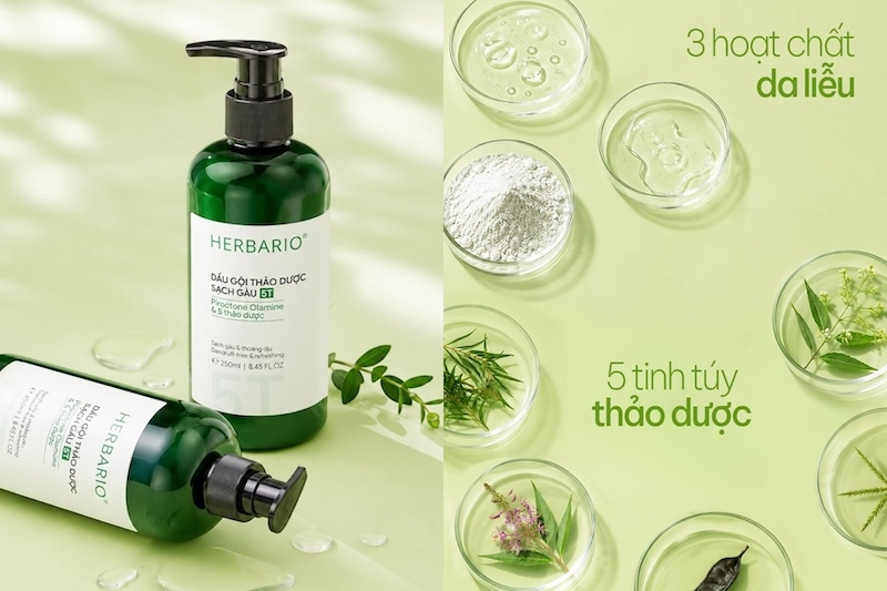 dầu gội thảo dược 5t herbario dau goi thao duoc 5t herbario