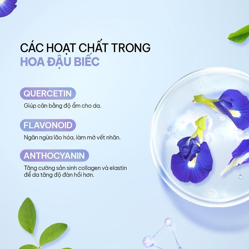 Hoa đậu biếc trong chăm sóc da hoa dau biec trong cham soc da