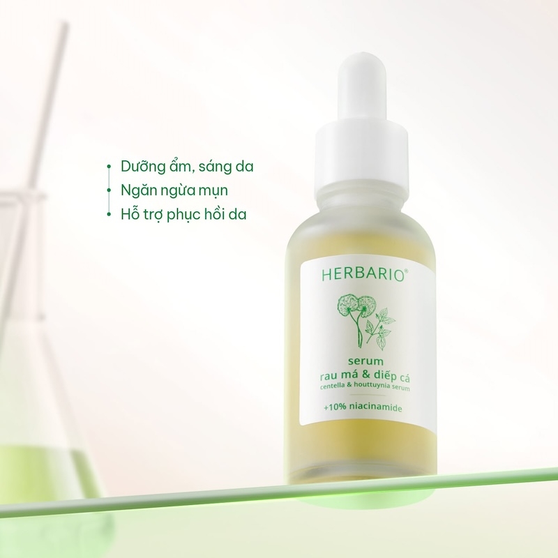 Serum Rau má & Diếp cá Herbario serum rau ma diep ca herbario