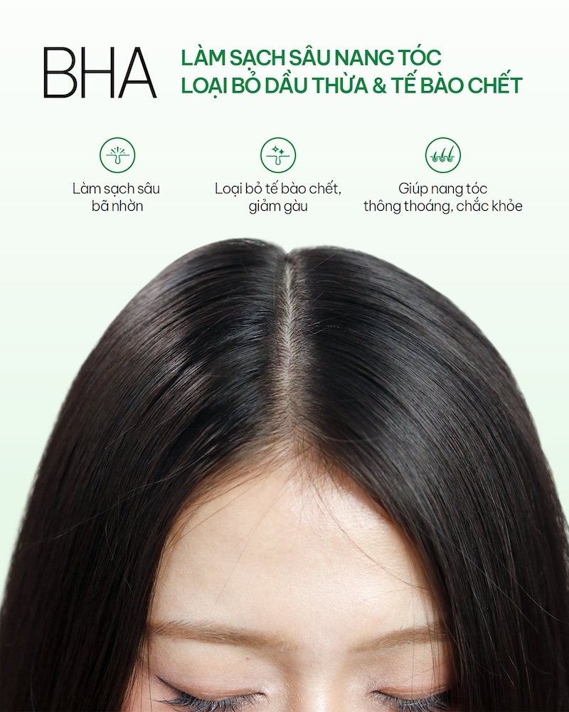 BHA trong dầu gội có tác dụng gì BHA trong dau goi co tac dung gi