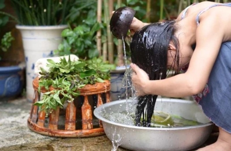 Vỏ bưởi và bồ kết vo buoi va bo ket