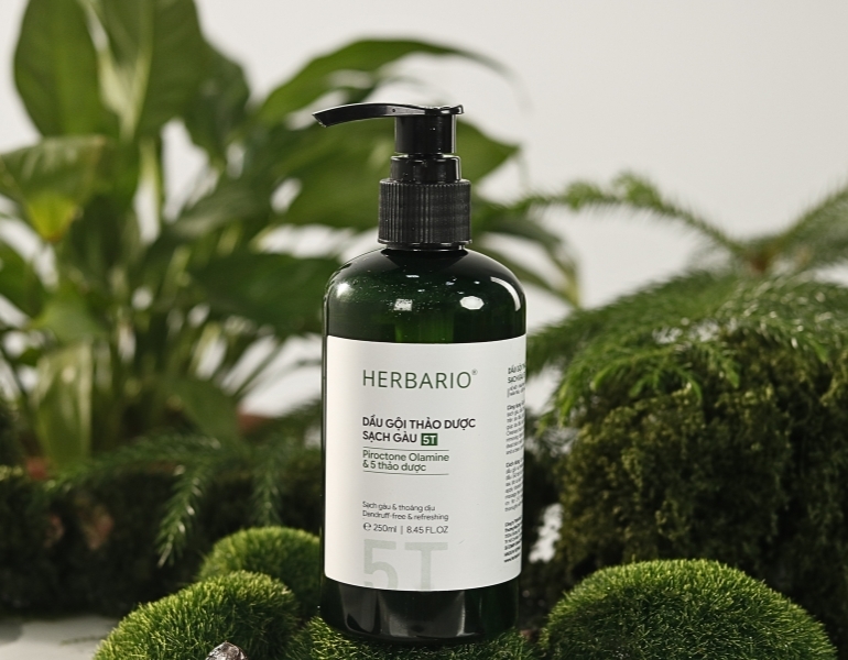 Dầu gội thảo dược sạch g&agrave;u 5T Herabario 