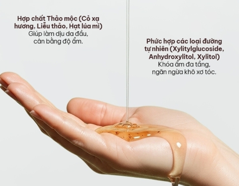 Những th&agrave;nh phần nổi bật của Dầu gội Vỏ bưởi Bồ kết Herbario