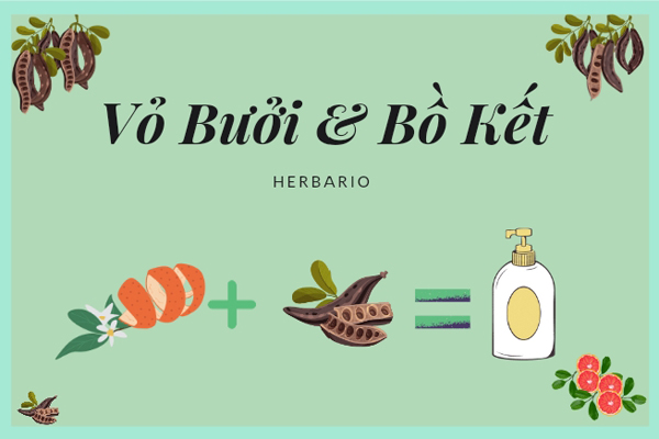 Thành phần chính trong Dầu Xả Vỏ Bưởi Và Bồ Kết HERABRIO Thành phần chính trong Dầu Xả Vỏ Bưởi Và Bồ Kết HERABRIO