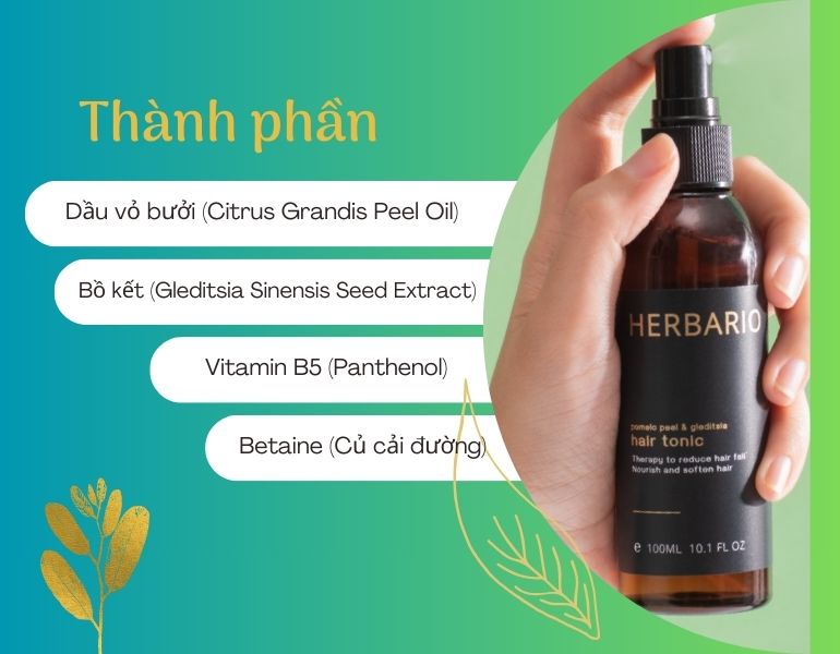 Các thành phần trong Nước dưỡng tóc Vỏ Bưởi và Bồ Kết Herbario có tác dụng gì?