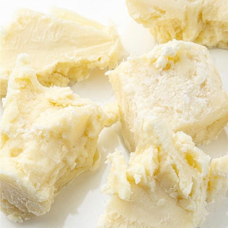 bơ hạt mỡ Vitellaria paradoxa bo hat mo Vitellaria paradoxa
