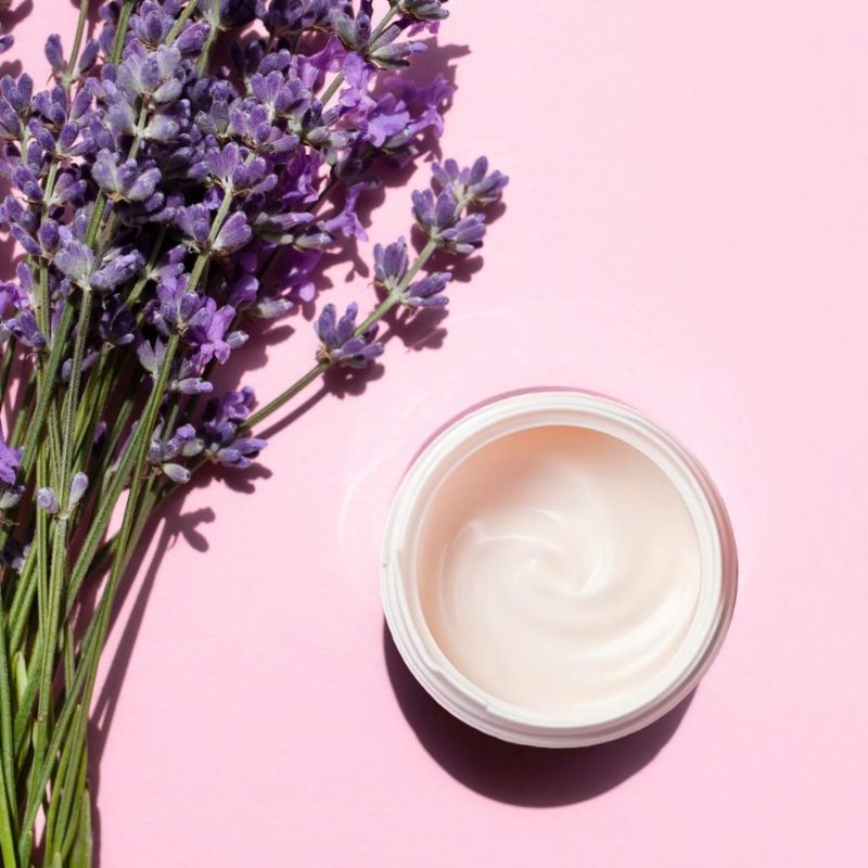 Oải hương Lavandula angustifolia Oai huong Lavandula angustifolia