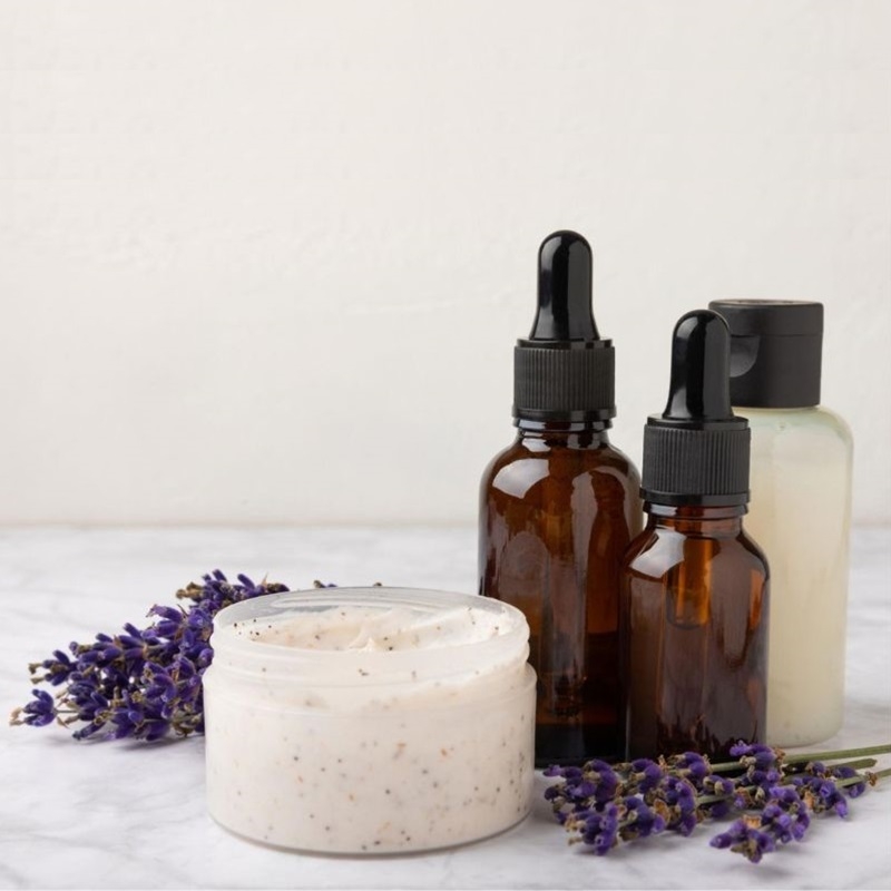 Oải hương Lavandula angustifolia Oai huong Lavandula angustifolia