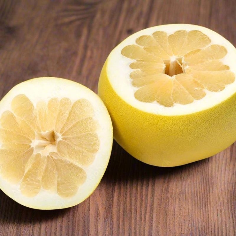 vo buoi citrus maxima