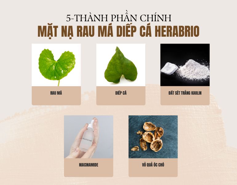 Bảng thành phần của mặt nạ rau má diếp cá Herbario