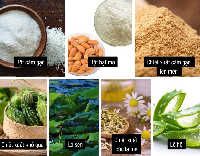 Th&agrave;nh phần ch&iacute;nh của Tẩy da chết mặt hạt gạo & mơ Herbario 