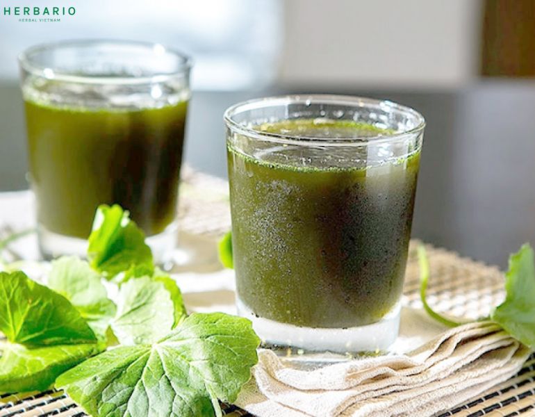 Detox rau má có tốt không?