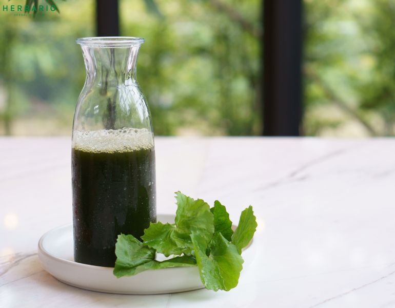 Detox bằng nước rau má đơn giản tại nhà