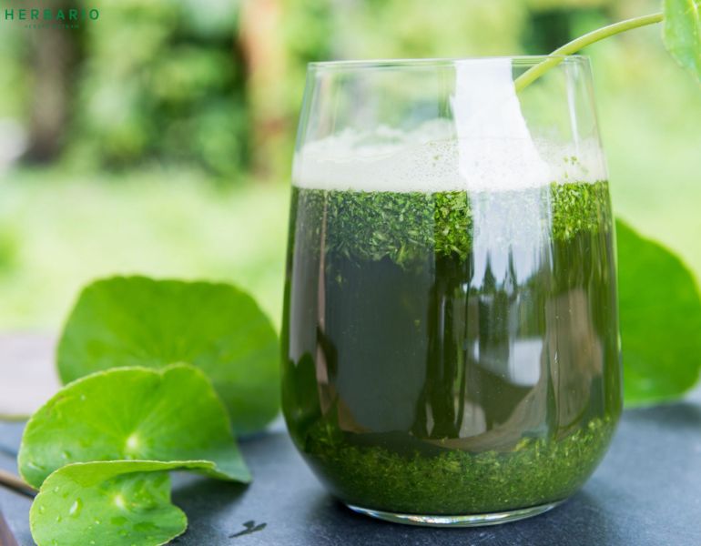 Lưu ý sử dụng detox bằng nước rau má