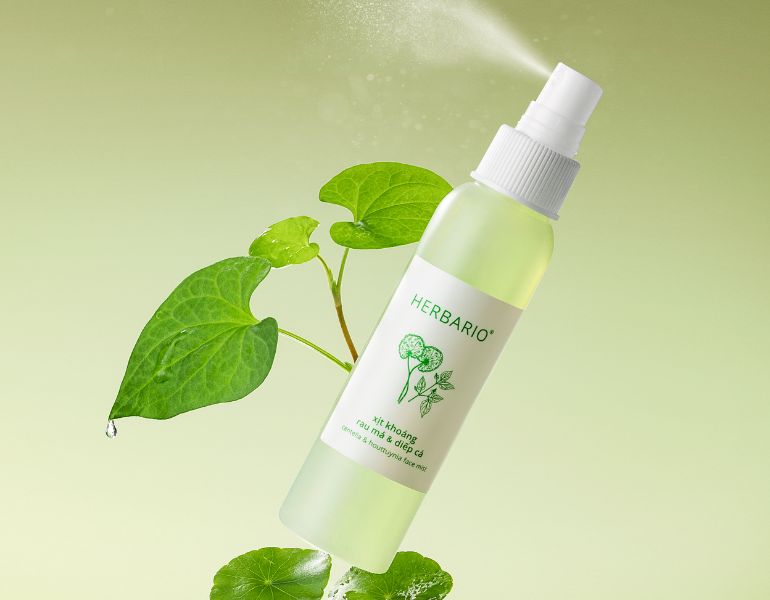 Xịt khoáng Rau má diếp cá Herbario thay thế cho toner