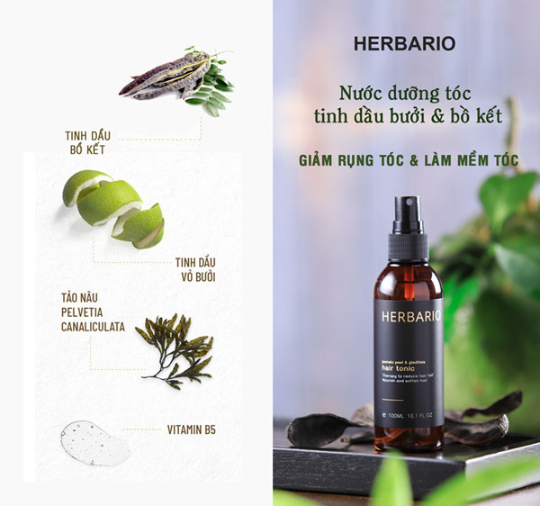 Nước dưỡng tóc vỏ bưởi và bồ kết Herbario Nước dưỡng tóc vỏ bưởi và bồ kết Herbario