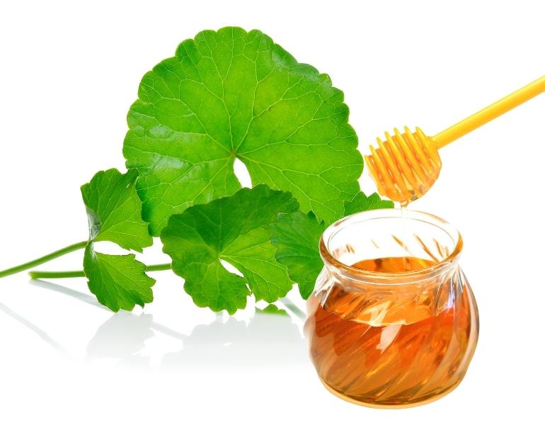 Sử dụng rau má kết hợp mật ong để kháng viêm, cải thiện da mụn