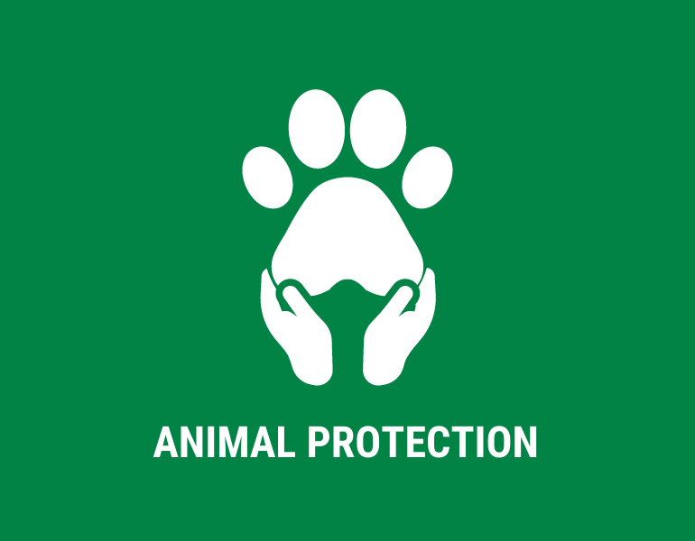 Cùng chung tay bảo vệ động vật