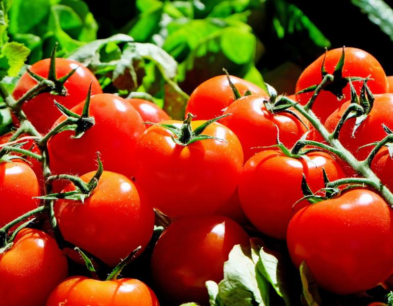 Sử dụng cà chua làm mặt nạ là một trong những cách dưỡng ẩm tại nhà đơn giản
