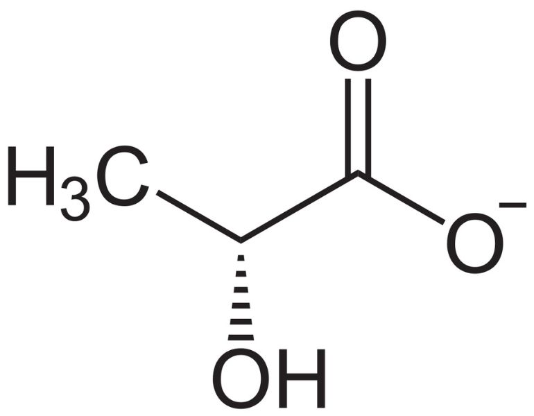 Lactic Acid là gì?