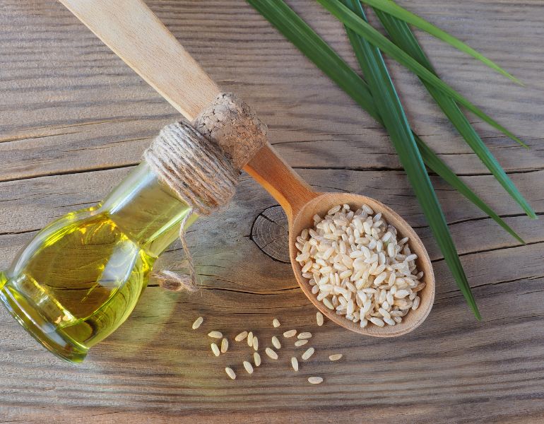 Oryza Sativa (Rice) Bran Oil là gì?