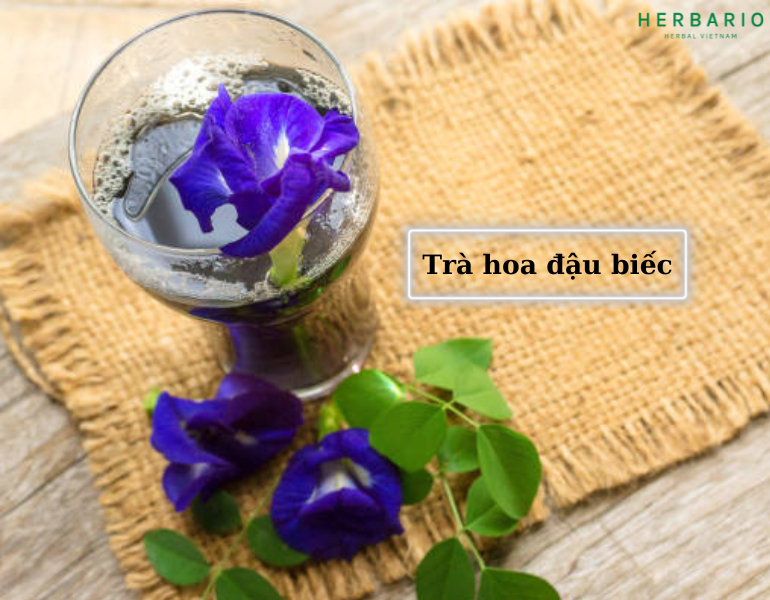 Nhiều thành phần dưỡng chất có trong hoa đậu biếc