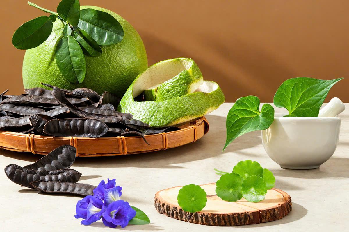 Hành trình sống xanh bền vững cùng Herbario
