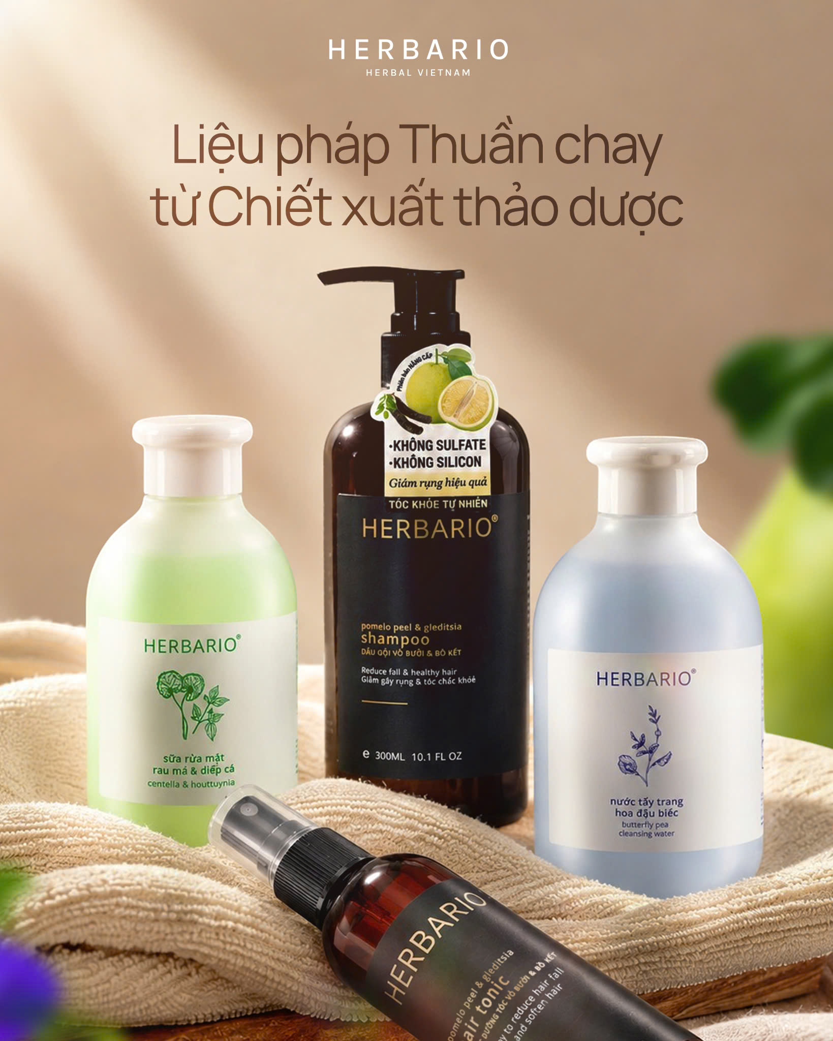 Thành lập HERBARIO 2016
