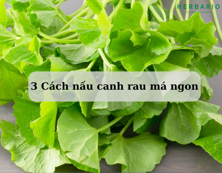 3 Cách nấu canh rau má ngon