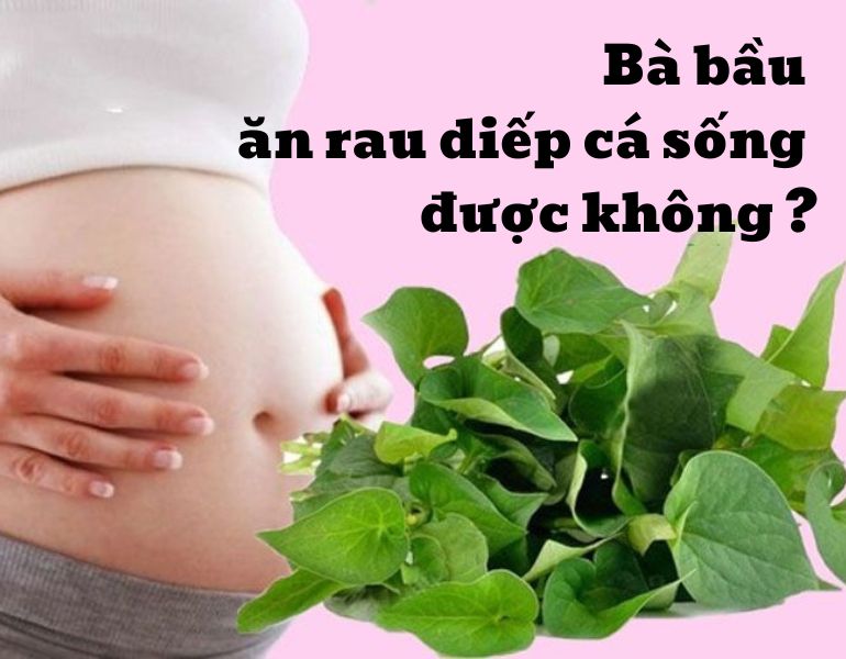 Bà bầu ăn rau diếp cá sống được không ?