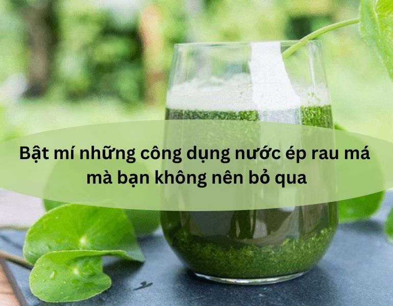 Bật mí những công dụng nước ép rau má mà bạn không nên bỏ qua