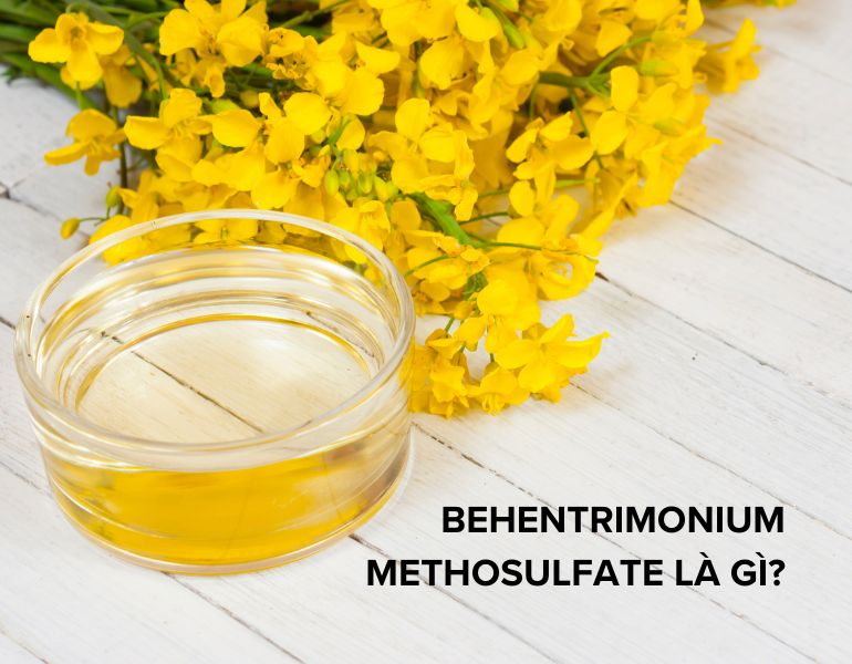 Behentrimonium methosulfate là gì? Có công dụng gì trong mỹ phẩm?
