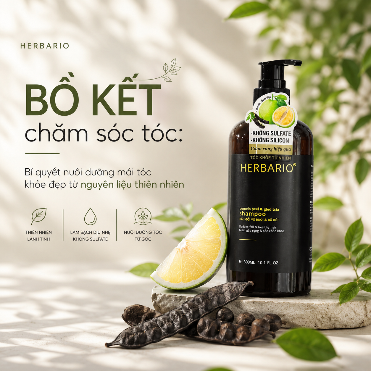 Bồ kết chăm sóc tóc: Bí quyết nuôi dưỡng mái tóc khỏe đẹp từ nguyên liệu thiên nhiên