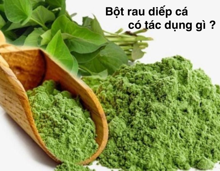 Bột rau diếp cá có tác dụng gì ?