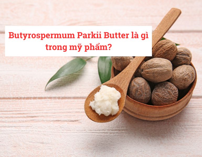 Butyrospermum Parkii Butter là gì trong mỹ phẩm?
