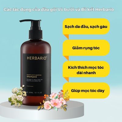 Các tác dụng của dầu gội Vỏ bưởi và Bồ kết Herbario