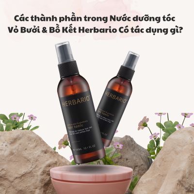 Các thành phần trong Nước dưỡng tóc Vỏ Bưởi và Bồ Kết Herbario có tác dụng gì?