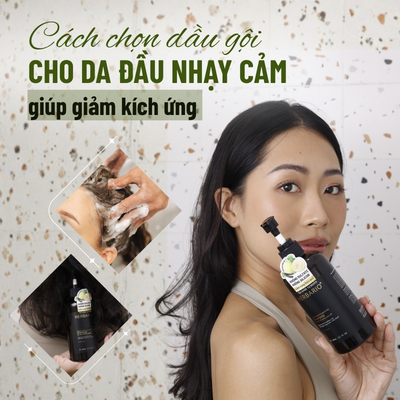 Cách chọn dầu gội cho da đầu nhạy cảm giúp giảm kích ứng