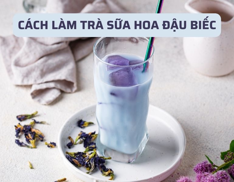 Cách làm trà sữa hoa đậu biếc